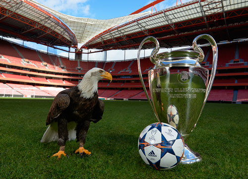 云开全站app平台入口